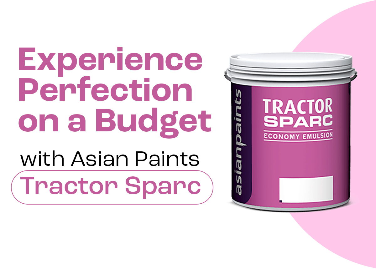 Experience perfection on a budget